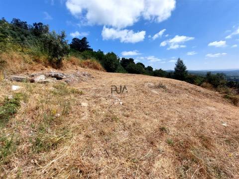 Terreno Para Construção  Venda em Fornos de Algodres,Fornos de Algodres