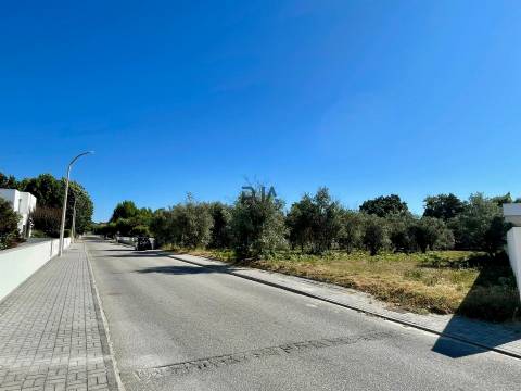 Terreno para construção em Canas de Senhorim