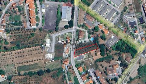 Terreno para construção em Canas de Senhorim