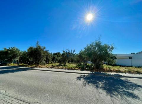 Terreno para construção em Canas de Senhorim