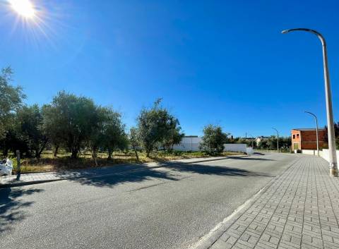 Terreno para construção em Canas de Senhorim