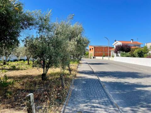 Terreno para construção em Canas de Senhorim