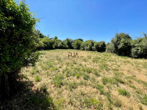 Terreno em Mangualde