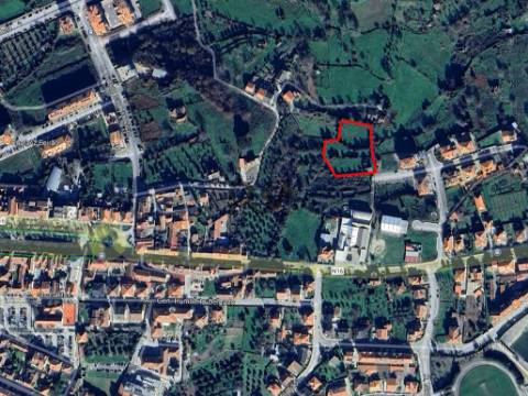 Terreno em Mangualde