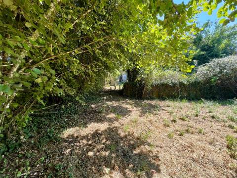 Terreno em Mangualde