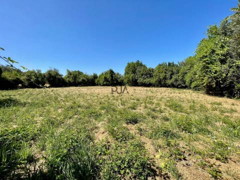 Terreno em Mangualde