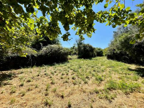 Terreno em Mangualde