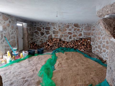 Moradia em Rancozinho, Fornos de Algodres