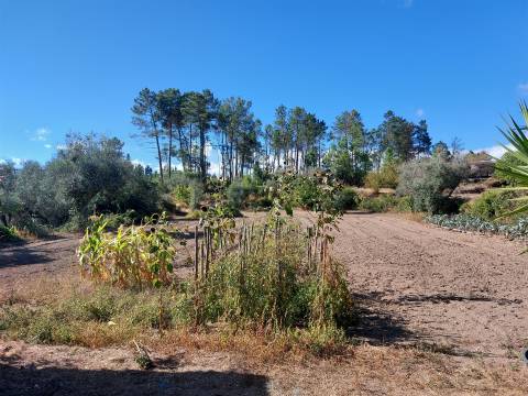 Moradia em Rancozinho, Fornos de Algodres