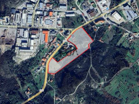 Lotes Industrial para arrendar em Mangualde