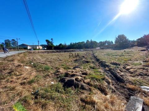 Lotes Industrial para arrendar em Mangualde