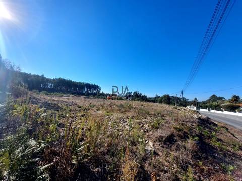 Lotes Industrial para arrendar em Mangualde