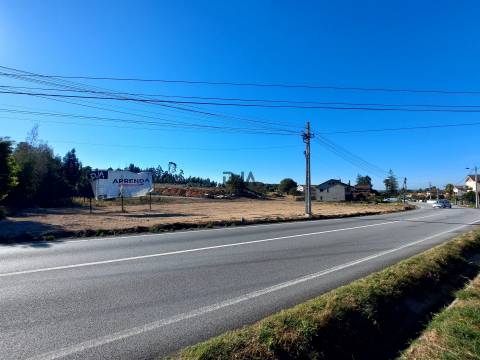 Lotes Industrial para arrendar em Mangualde