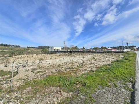 Terreno para vender em Nelas