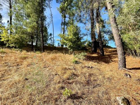 Terreno com viabilidade construtiva em Casal Diz, Penalva do Castelo