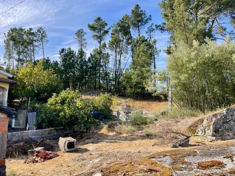 Terreno com viabilidade construtiva em Casal Diz, Penalva do Castelo