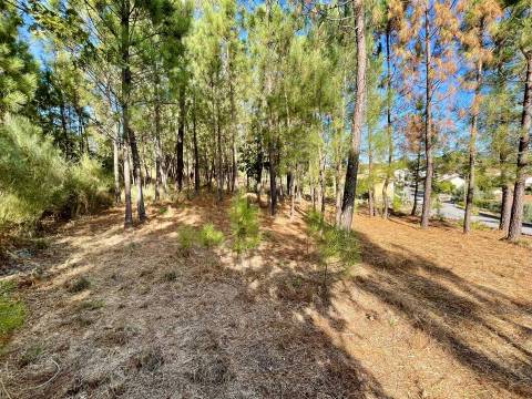 Terreno com viabilidade construtiva em Casal Diz, Penalva do Castelo