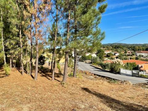 Terreno com viabilidade construtiva em Casal Diz, Penalva do Castelo