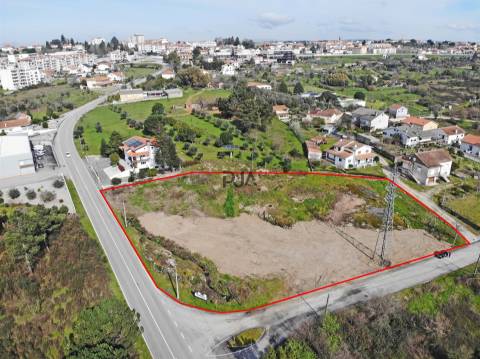 Terreno para arrendar em Nelas