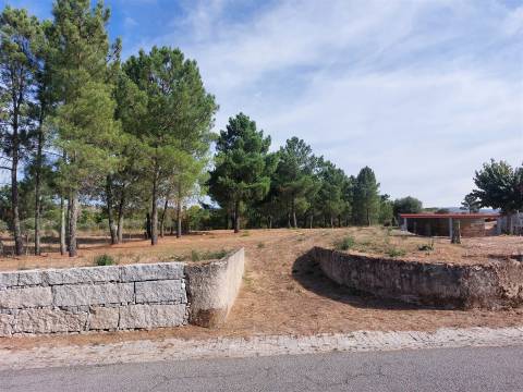 Terreno para construção em Vila Ruiva, Fornos de Algodres