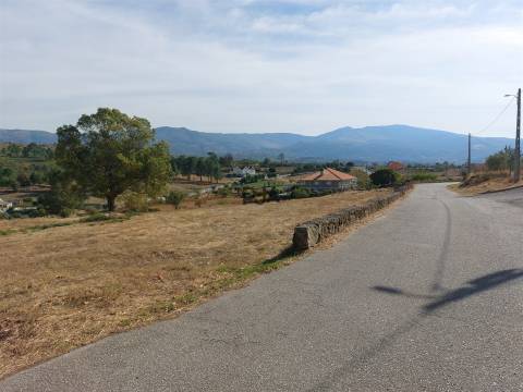 Terreno com viabilidade construtiva em Vila Ruiva, Fornos de Algodres