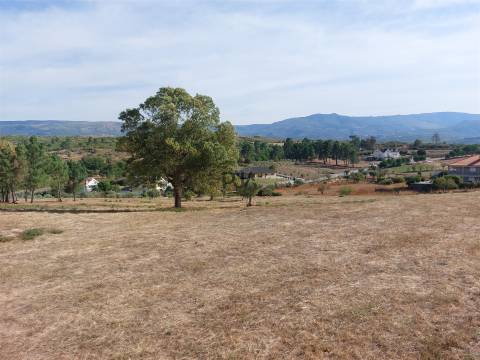 Terreno com viabilidade construtiva em Vila Ruiva, Fornos de Algodres