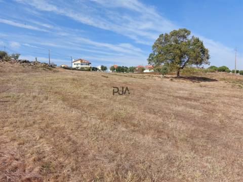 Terreno com viabilidade construtiva em Vila Ruiva, Fornos de Algodres