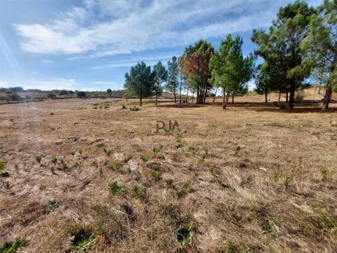 Terreno com viabilidade construtiva em Vila Ruiva, Fornos de Algodres