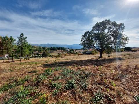 Terreno com viabilidade construtiva em Vila Ruiva, Fornos de Algodres