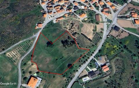 Terreno com viabilidade construtiva em Vila Ruiva, Fornos de Algodres