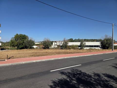 Terreno para construção em Mangualde