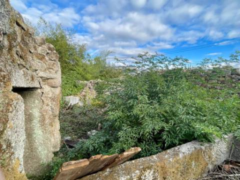 Ruina em Granito em Oliveira de Barreiros