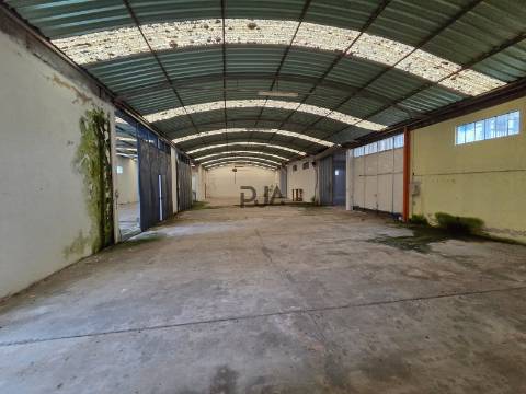 Arrumos para arrendar em Mangualde