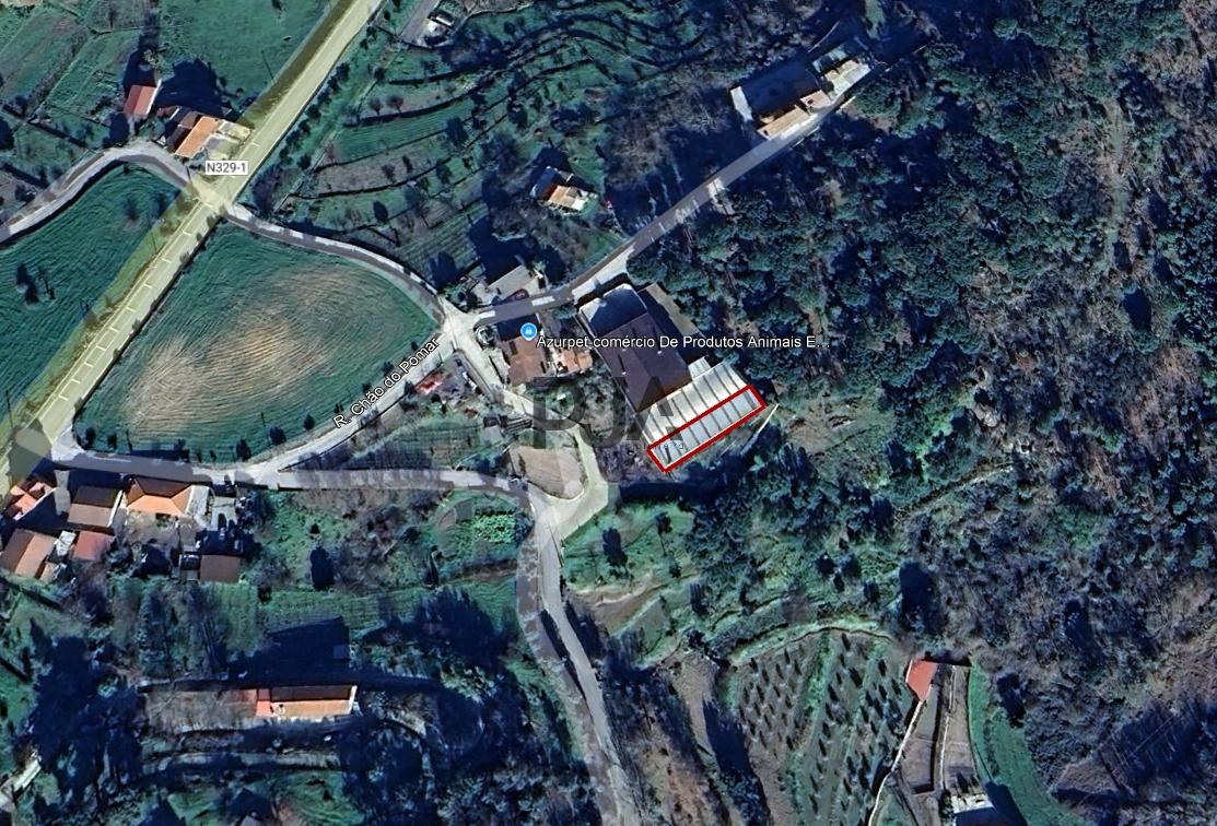 Arrumos para arrendar em Mangualde