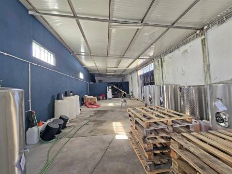 Moradia com 2 Apartamentos T4 e Armazém em Oliveira, Mangualde