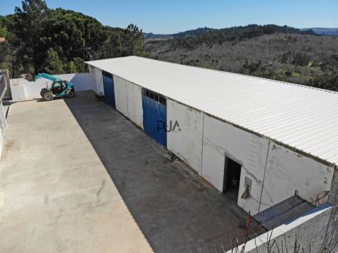 Moradia com 2 Apartamentos T4 e Armazém em Oliveira, Mangualde