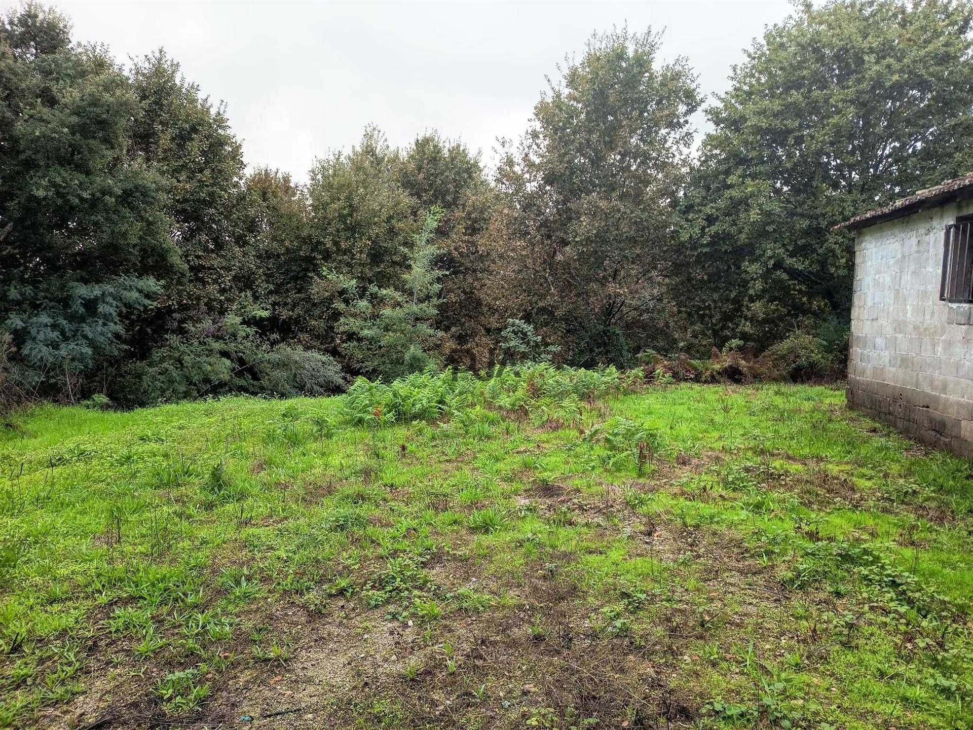 Terreno Misto  Venda em Treixedo e Nagozela,Santa Comba Dão