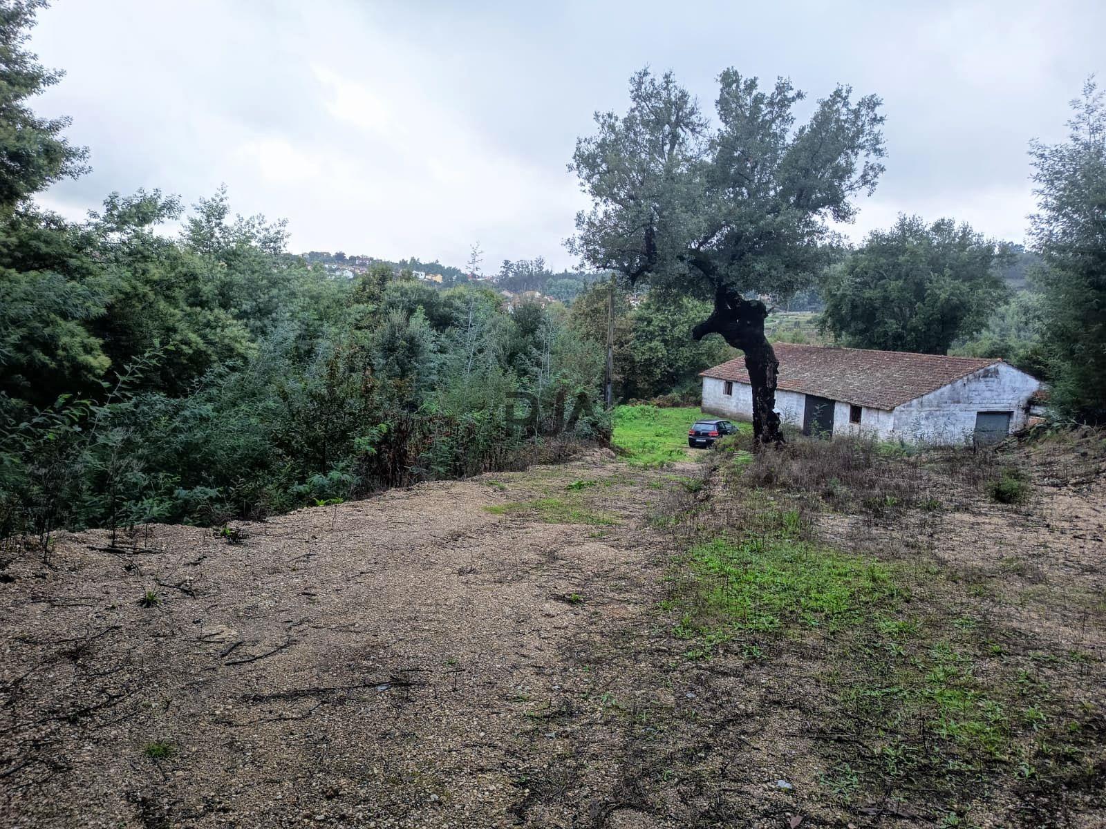 Terreno Misto  Venda em Treixedo e Nagozela,Santa Comba Dão