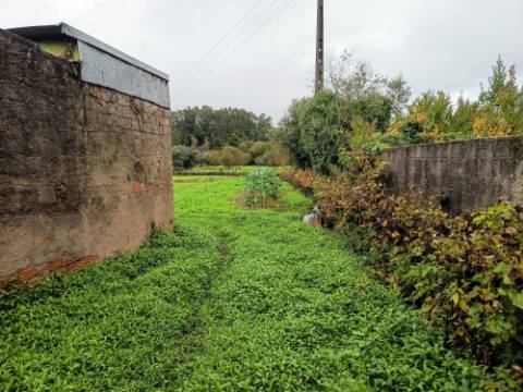 Terreno Rústico em Vila Meã, Mortágua