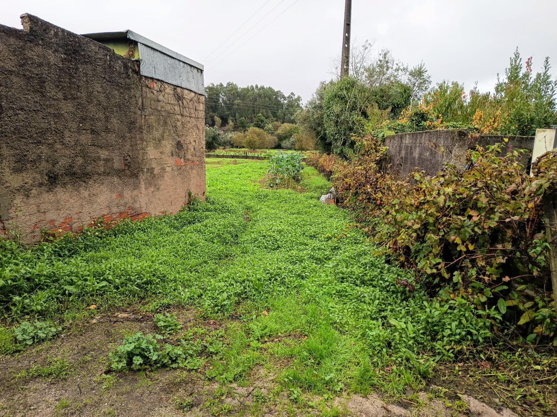 Terreno Rústico em Vila Meã, Mortágua