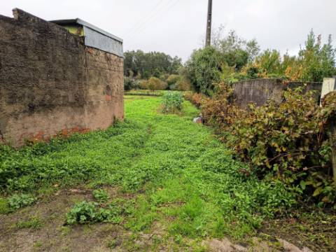 Terreno Rústico em Vila Meã, Mortágua