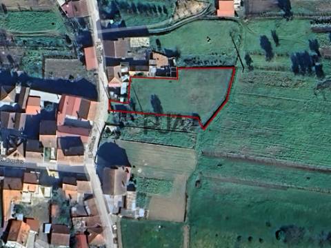 Terreno Rústico em Vila Meã, Mortágua