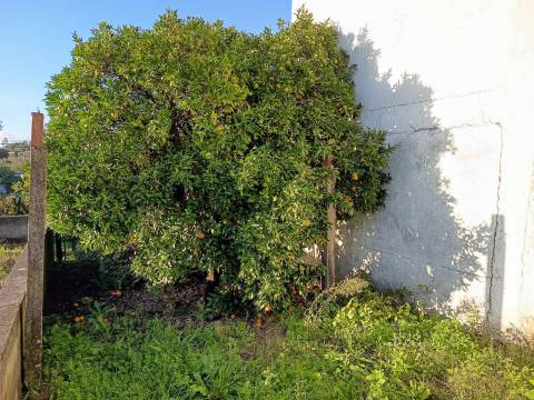 Moradia T3 para recuperar em Lameiras, Santa Comba Dão