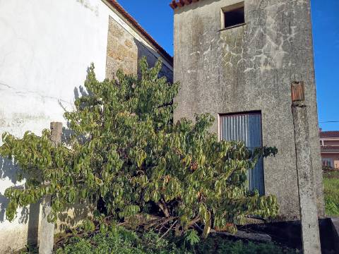 Moradia T3 para recuperar em Lameiras, Santa Comba Dão