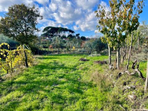 Terreno em Lageosa do Dão, Tondela