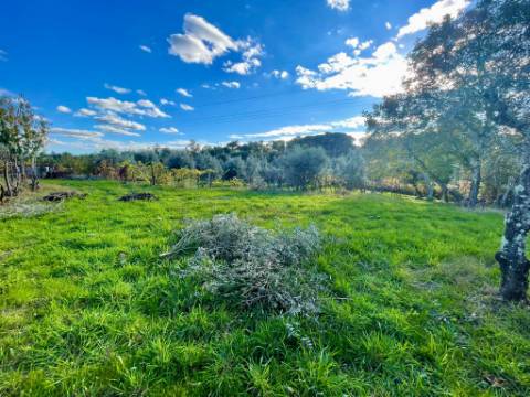 Terreno em Lageosa do Dão, Tondela