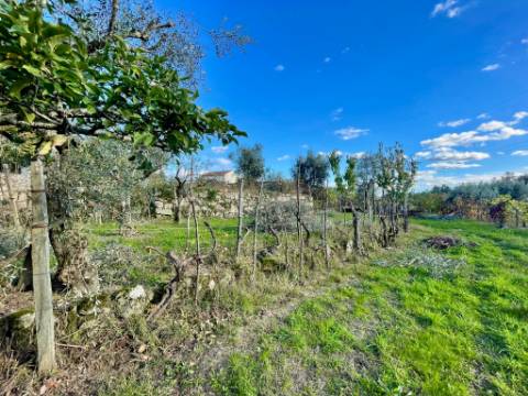 Terreno em Lageosa do Dão, Tondela