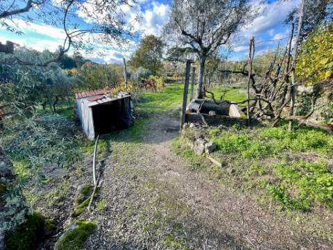 Terreno em Lageosa do Dão, Tondela