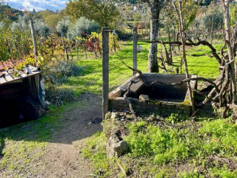 Terreno em Lageosa do Dão, Tondela