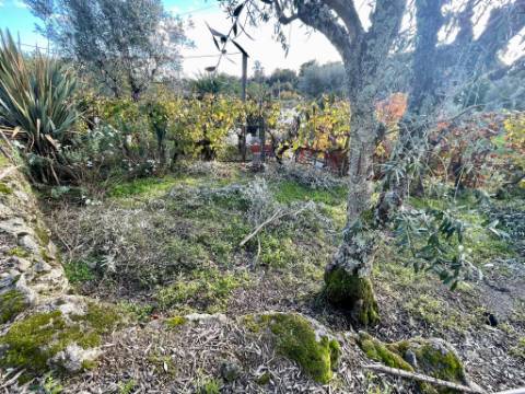 Terreno em Lageosa do Dão, Tondela